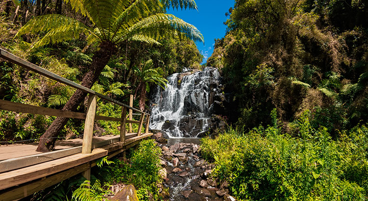 Bresil-epoustouflant-750x410